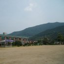 광양 옥룡초등학교 이미지