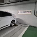 ​[전기차 충전 앱] 일렉베리 사용 후기, 일렉페이로 완속 충전 무제한 적립 비법!