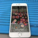 여주-0022 이미지