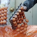 유성종합유통 이미지