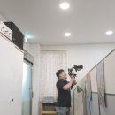 프리투플라이