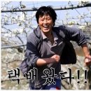 초록과일