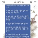 보니또케이크 이미지