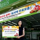 오토 오아시스 이미지