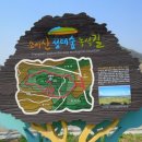 지천생태길 네이버블로그