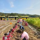 춤새마을농촌체험마을 이미지