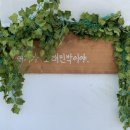 털보네민박 - 신안군 대광해수욕장길 174 | 털보네민박