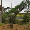 하루농장 이미지