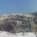 구만리 어룡동 이미지