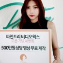 파인트리 비디오웍스