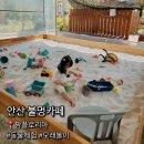 동물체험부터 모래놀이까지 가능한 안산 팜플로리아 후기