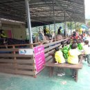 해돋이유치원 이미지