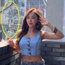 나르샤 이미지