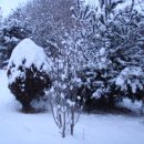 서림농원 이미지