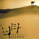 낙타 이미지