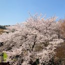 (주)영락태양광((주)영락태양광발전소) 이미지