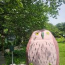 신엄리 머물고싶은집 | 장수 구하숲 후기｜실제 주택을 개조한 감성 숲속 카페