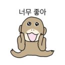 명동온누리약국 네이버블로그