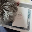 로아맘마 이미지