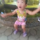 태오농장 이미지