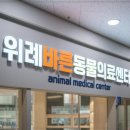 바른동물병원 네이버블로그