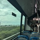 마요르카에서 생긴 일