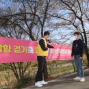 양재천(서초구) 이미지