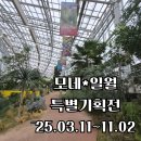 장미로(대로3-13) | 정원을 사랑한 지중해 화가 모네 특별기획전 일월수목원 방문 후기