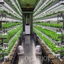 농업회사법인 다음산업㈜ 이미지