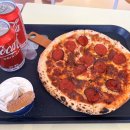 개들랜드 이미지