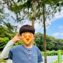 성균관숲유치원 | 대전 성균관 숲유치원 후기♡