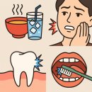 더심플란트치과의원 이미지