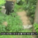 아파트 화단에서 꽃 꺾은 80대 할머니 이미지