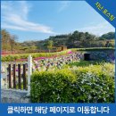 삼대쭈꾸미 해신탕 이미지