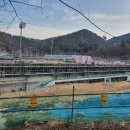 진남1로 이미지