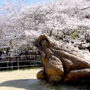 섬진소프트 이미지