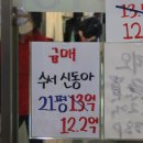광수미디어 이미지