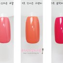마이네일즈