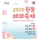 (일요번개힐링) 3월 8일 묵객의 시(詩)따라 "황산강 베랑길"에 봄이 터졌다. 가고싶고 머무르고 싶은곳~ 원동매화축제&amp; 평산책방 이미지