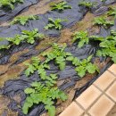 운유초등학교 이미지