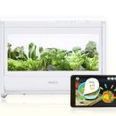 키즈팜어린이집 이미지