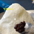 요토피아 | 정자동 빙수 맛집 빙토피아 양 많은 우유빙수 후기