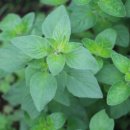 향기나라 화장품 이미지