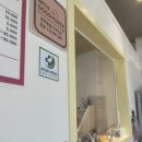 봄이오냥 이미지