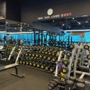 렉스사우나 이미지