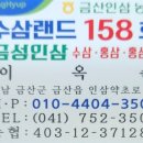 수삼랜드 이미지