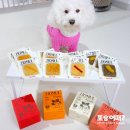실온보관 강아지테린, 노령견도 좋아하는 아페체 쪼물쪼물 후기