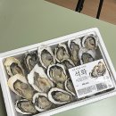 석화 이미지