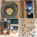 동네농장 이미지