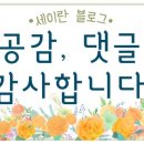 투엘컴퍼니